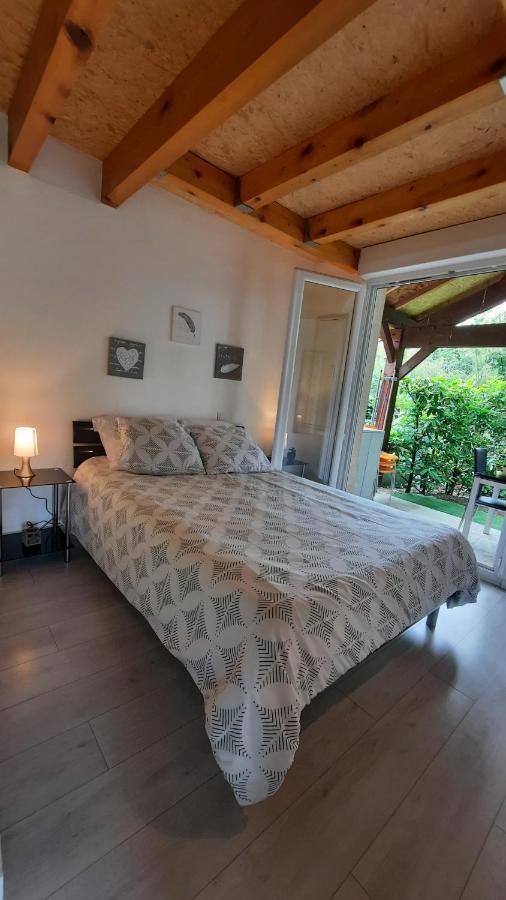 Promo 2-9Juin Gite 6 Personnes Toulouse 7Mn Du Metro 4 Lits Terrasses Gragnague Екстериор снимка
